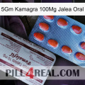 5Gm Kamagra 100Mg Oral Jelly 36